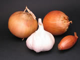 Still life of onions, garlic and scalogno
