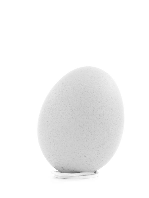 Uovo in bianco e nero