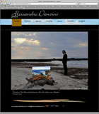 www.alessandrodanzini.it