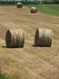 Campo in Toscana