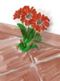 Fiori rossi