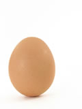 Color egg