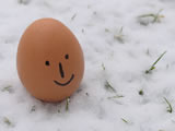 Uovo felice
