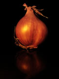 Scalogno