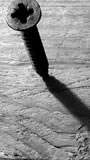 Vite su legno