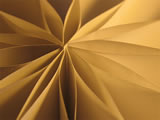 Flower of paper in sepia tone
