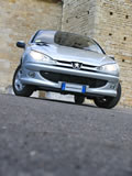 Peugeot 206 a Pieve a Elici