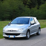 Peugeot 206 a Pescaglia