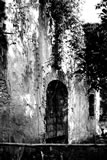 Ruins in the park of the Versiliana in black and white