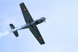 Pattuglia acrobatica svizzera